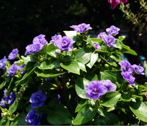 rblog-20140725144937-00.jpg