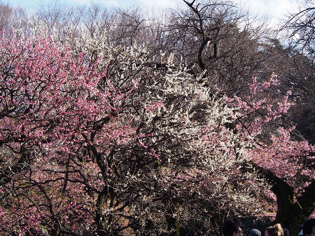 P2210488.jpg