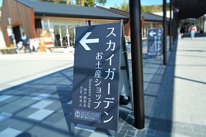 スカイウォーク
