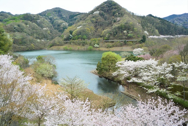 松川湖