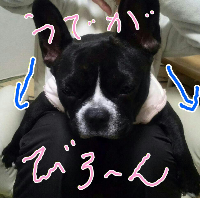 rblog-20131216010351-02.png