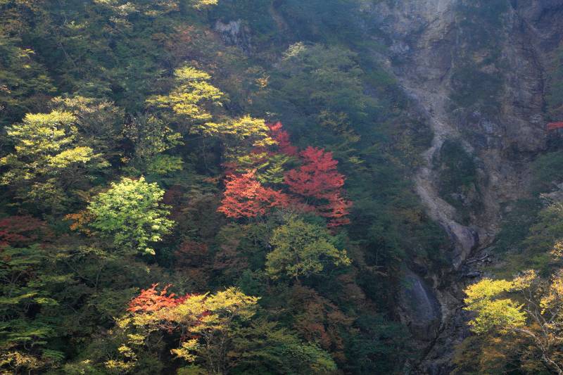 華厳の滝・_008紅葉.jpg