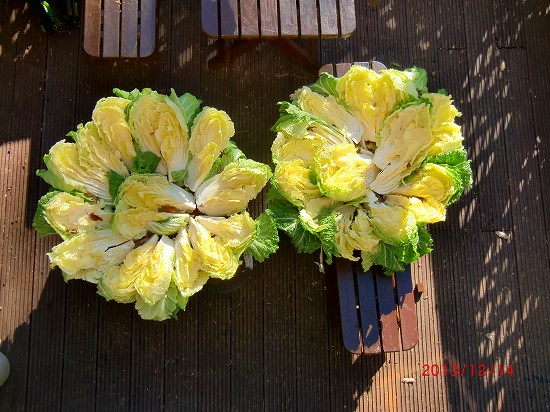 師走風景 026.jpg