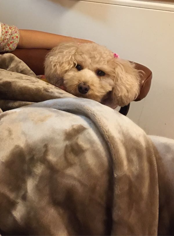 rblog-20151114213947-09.jpg