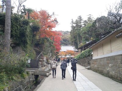 北鎌倉円覚寺坂道中2012年12月