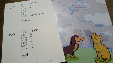 rblog-20150113135014-03.jpg