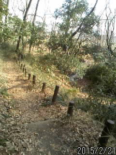 都幾川へ２