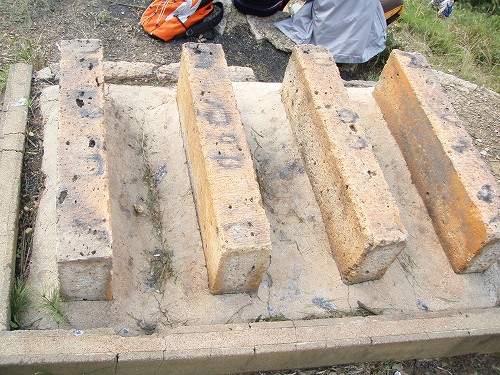 s-PA110022.jpg