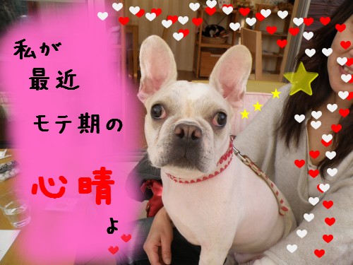 心晴.JPG