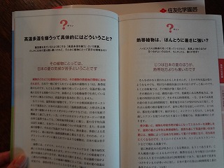 DSC00171.jpg