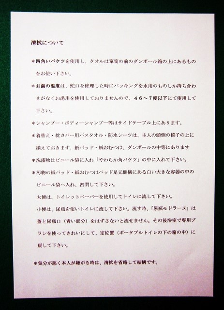 ヘルパーさんにお願いすることー２