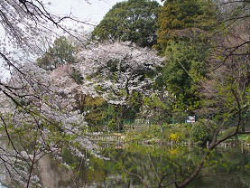 2014-04-01 13.18.43.jpg