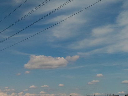 P_20150818_130125.jpg