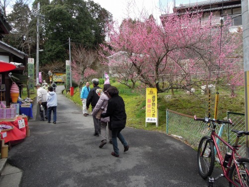 s-DSCN0560.jpg