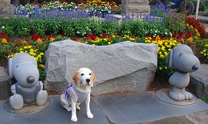 20130816スヌーピーと