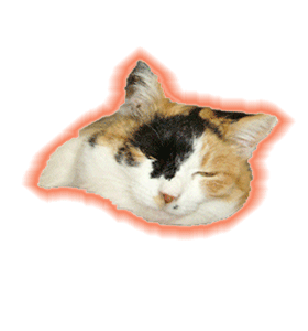 みっけ.gif