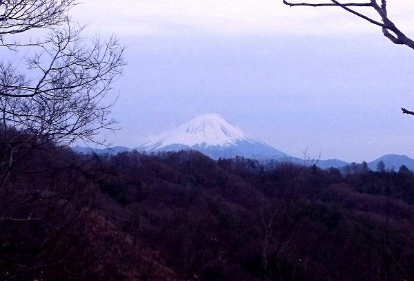 fuji.jpg