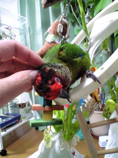 20121020205944.jpg