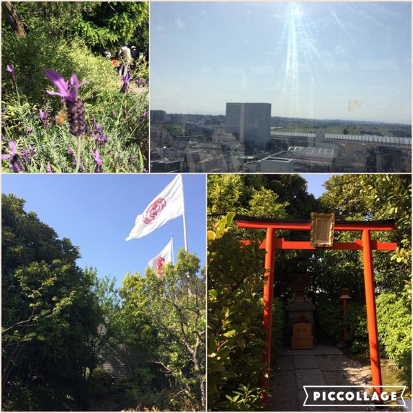 rblog-20160506091454-01.jpg
