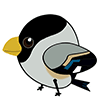 いかる.gif