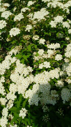 rblog-20150501130009-01.jpg