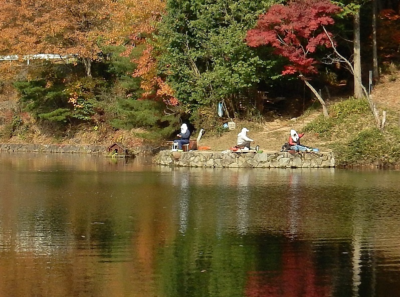鳥小屋1.JPG