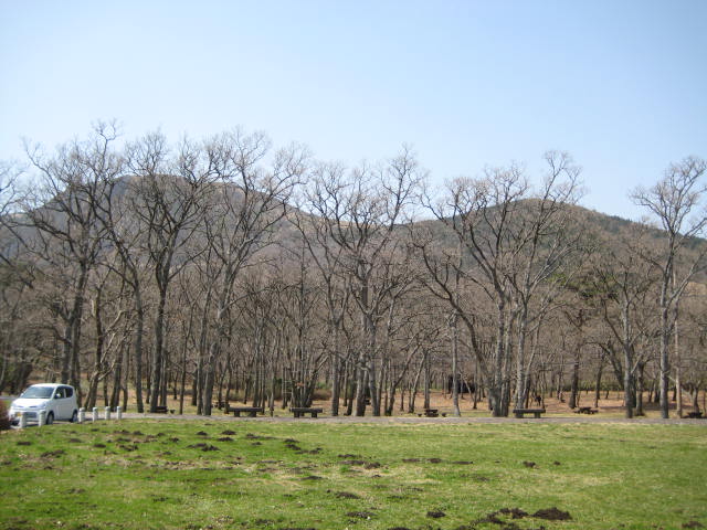 IMG_0450.JPG
