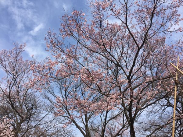 rblog-20170405001416-01.jpg