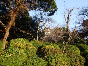 添田１