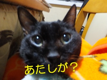 20121104_4.jpg
