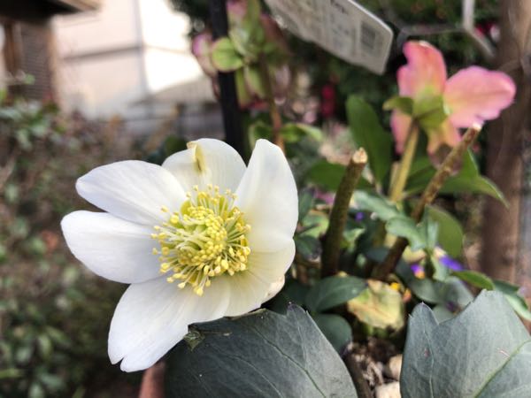 rblog-20170227213813-06.jpg