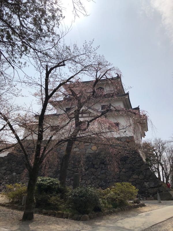 rblog-20180401210750-02.jpg