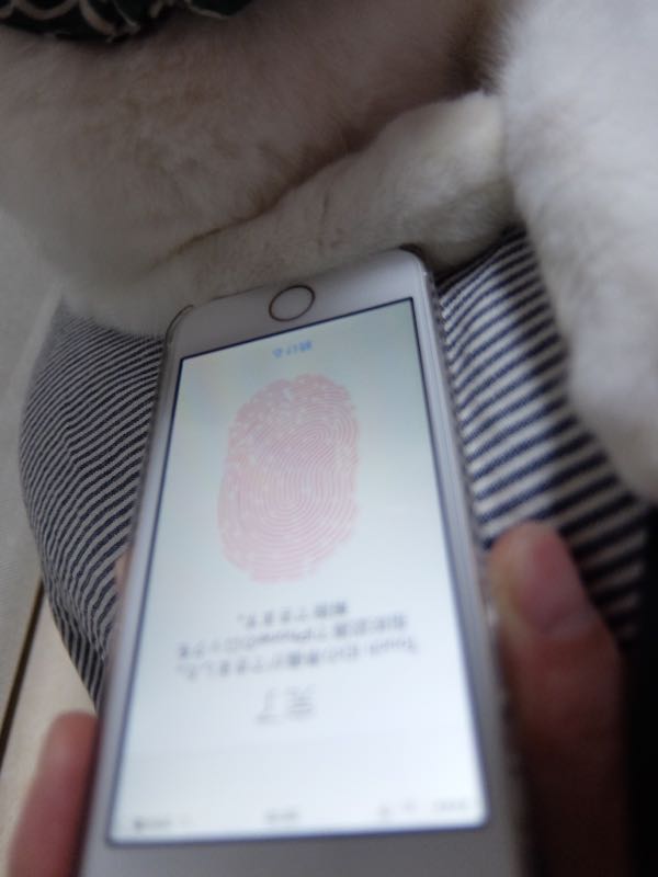 rblog-20150107073552-02.jpg