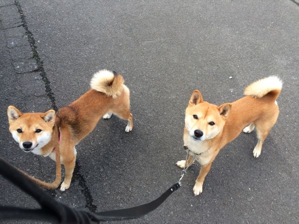 rblog-20151226080057-04.jpg