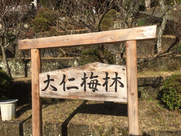 rblog-20170131082214-00.jpg