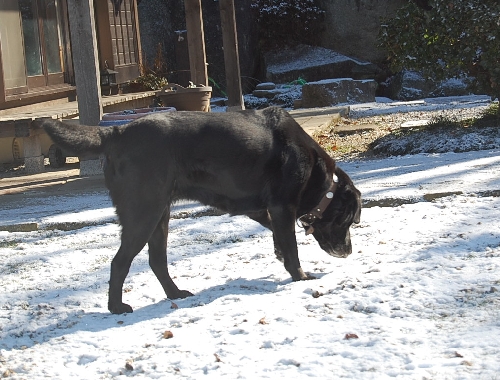 DSC_0129.JPG
