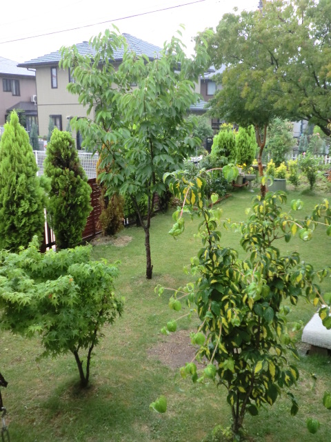 002 (480x640).jpg