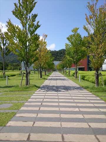 DSC_0707_R.JPG