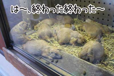 夜１１.JPG