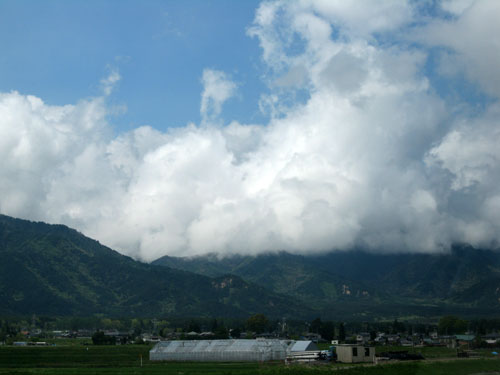 2012.5.17blog4.JPG