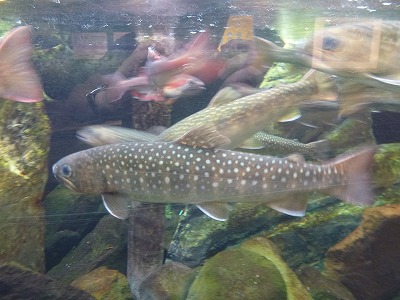 P1000328.jpg