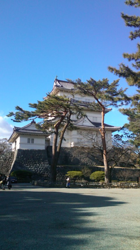 小田原城.jpg