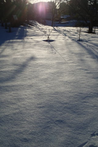 donndenn150118020