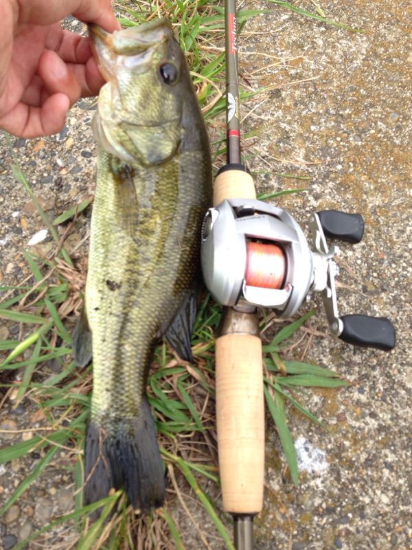 rblog-20140910114342-01.jpg