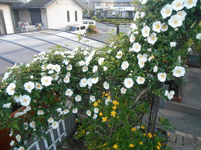 DSCN0265.JPG