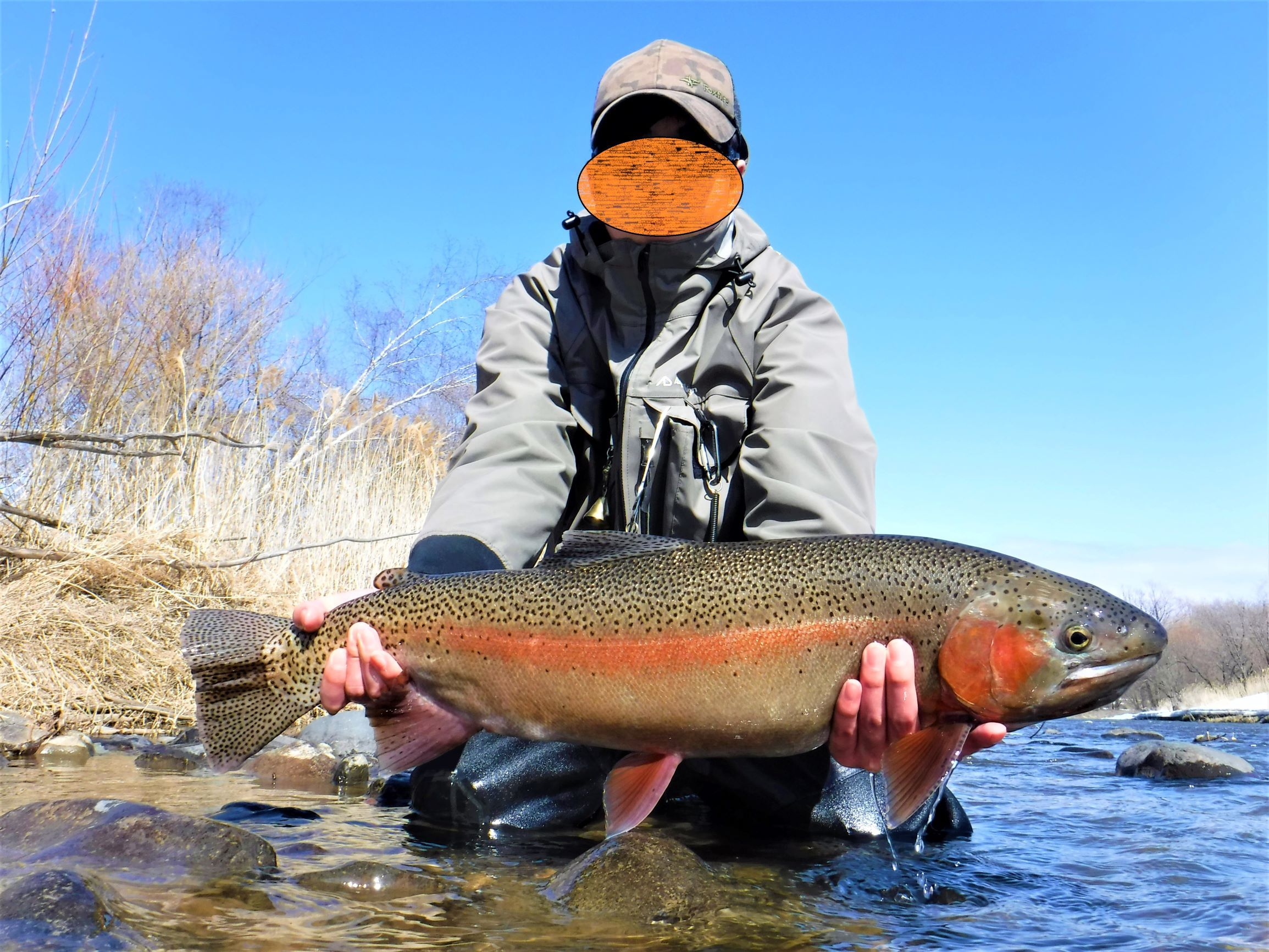 3 26 常呂川 怪物ニジマス 再び 72cm Fisher Camp J の I Love 虹鱒 In 道東オホーツク 楽天ブログ