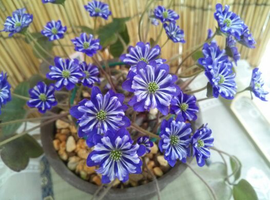 rblog-20140302181120-03.jpg