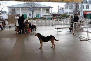 那須13.jpg