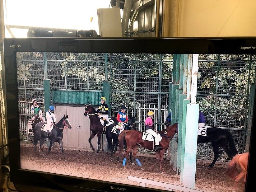 来週は外国人騎手祭り 地方競馬の楽天競馬 日替わりライターブログ 楽天ブログ