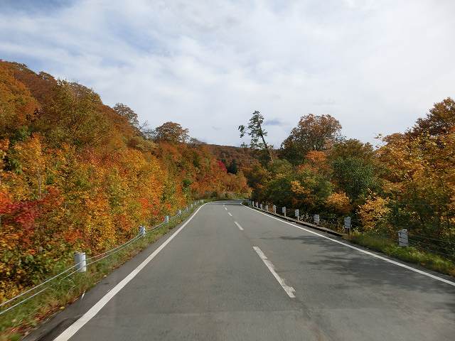 CIMG0775.jpg